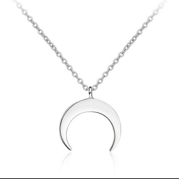 NEW Silver Crest Pendant Necklace - Picture 4 of 7